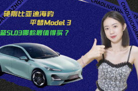 硬刚比亚迪海豹平替Model 3 深蓝SL03哪款最值得买？