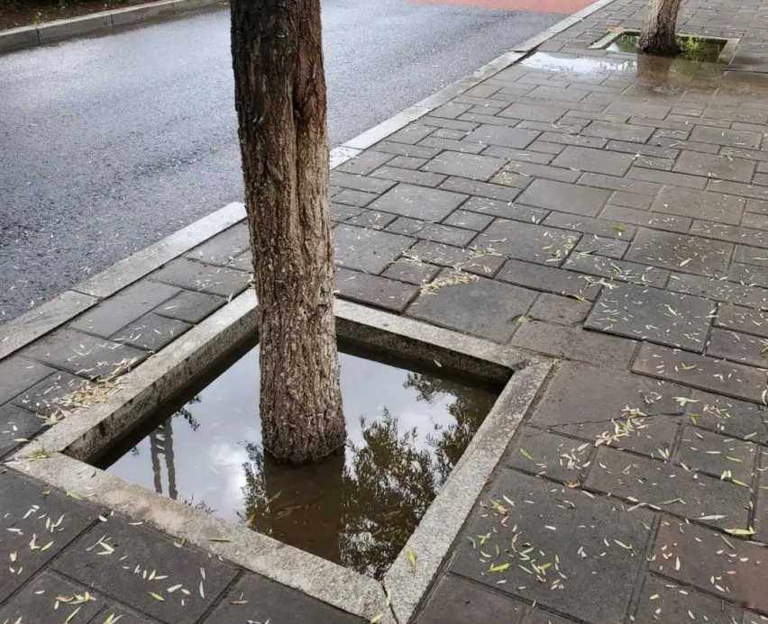 开车上道牙，掌握这9个经验技巧，起码降低一半的伤害
