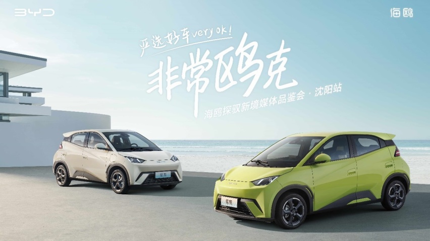 城市的精灵，品鉴、试驾比亚迪海鸥