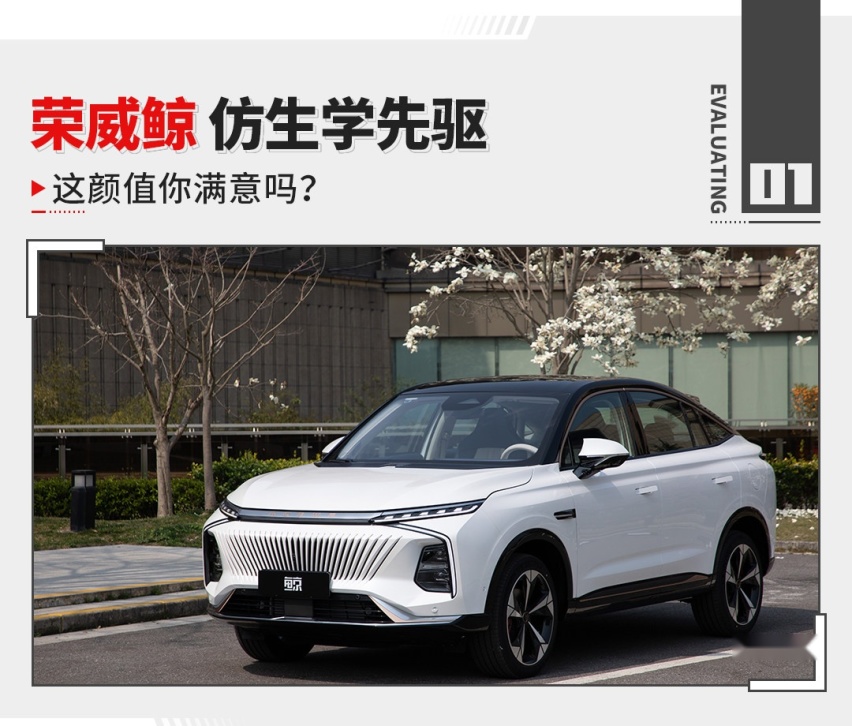 仿生学造车 前脸酷似鲸鱼！荣威鲸是国货品牌之光？！