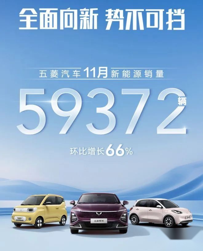 11月新能源汽车销量榜：理想提前完成年销30万，吉利系抬头