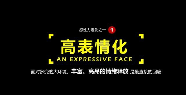 抢先解读全新名爵ZS设计 多元化的激情释放
