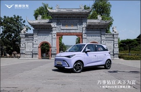 每个家庭都可以拥有，拾月Mate开启国民纯电新时代