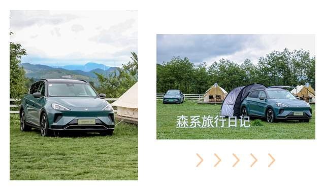 试驾极狐阿尔法T：把森林装进车里是一种什么体验？