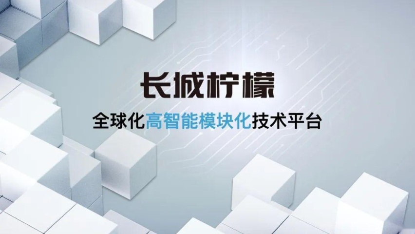 以花样名字博眼球，长城汽车的起名哲学很不"魏建军"