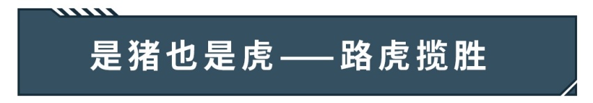 这些车太牛了，就算买不起，拍个合照都显得你很成功～