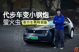 底盘进阶、情绪价值给足，萤火虫夜行生物特别版有啥特别？