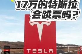 据说特斯拉17万元的车，就要来了