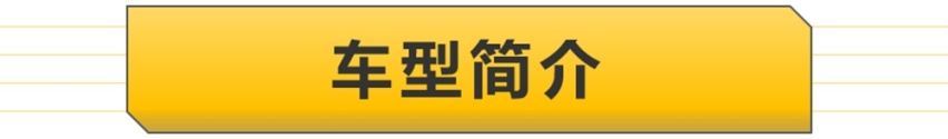 【帮你选车】尊贵版性价比最高，明锐PRO购车手册