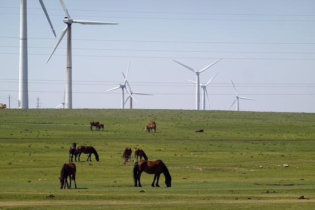穿越那日思太林场，体验2024款哈弗大狗的能力