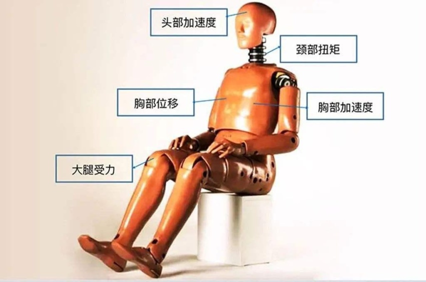 碰撞测试“女假人”将使用，碰撞测试这么多年了一直都是男性？