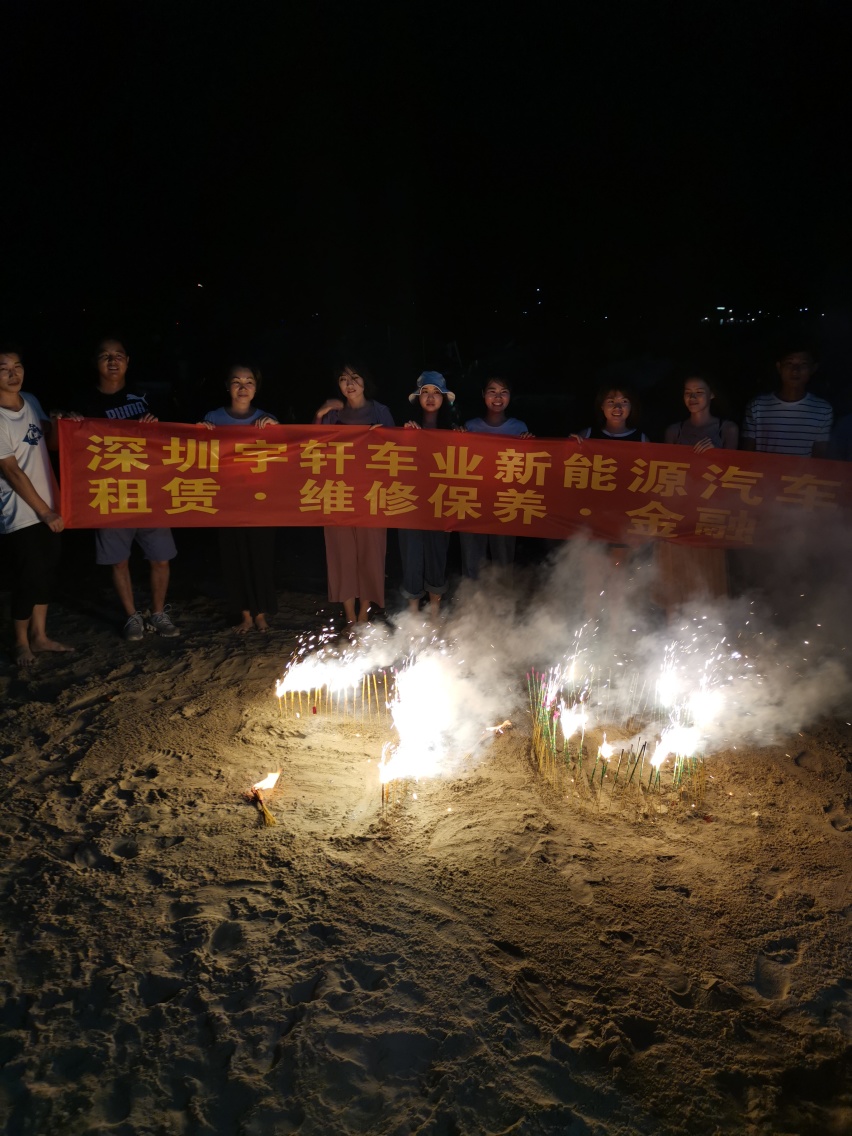 新能源汽车 纯电动面包车  新能源货运车 纯电动物流车 帅客