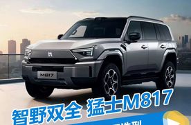 够城够野，智野双全！猛士M817一车双面，内饰首发亮相