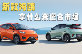 新款海鸥 拿什么来迎合市场、突破重围？