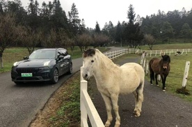 试驾新09 EM-P：动力操控灵动，舒适性超百万元级豪车？