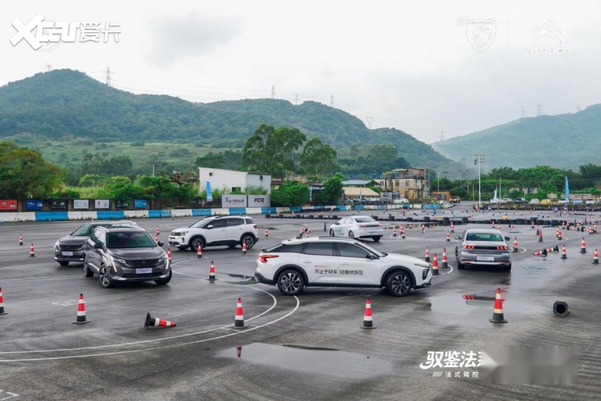 神龙全系驾控体验，法系车一开起来就不太一样？