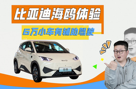 6万级电动车这么全面啦？赛道寻找比亚迪海鸥，好卖原因在哪！