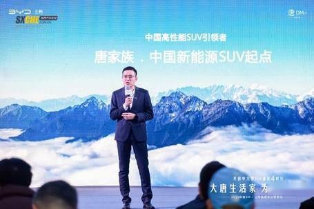 大唐生活家 为爱再进化 2025款唐DM-i西安上市售价17.98万～