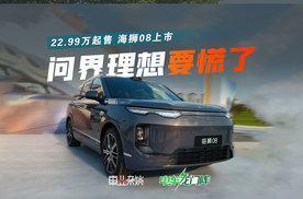 海狮08上市，比亚迪开始抢问界理想饭碗了