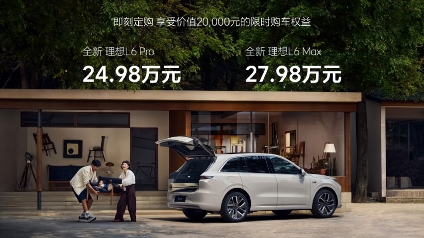 MEGA“出师未捷”，L6能否坚定扛起大旗？