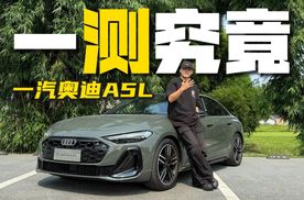 一汽奥迪A5L，作为2025年的产品，它的油耗表现到底在什么水平？