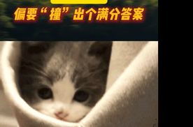 别人躲着美标跑，比亚迪夏偏要“撞”出个满分答案！