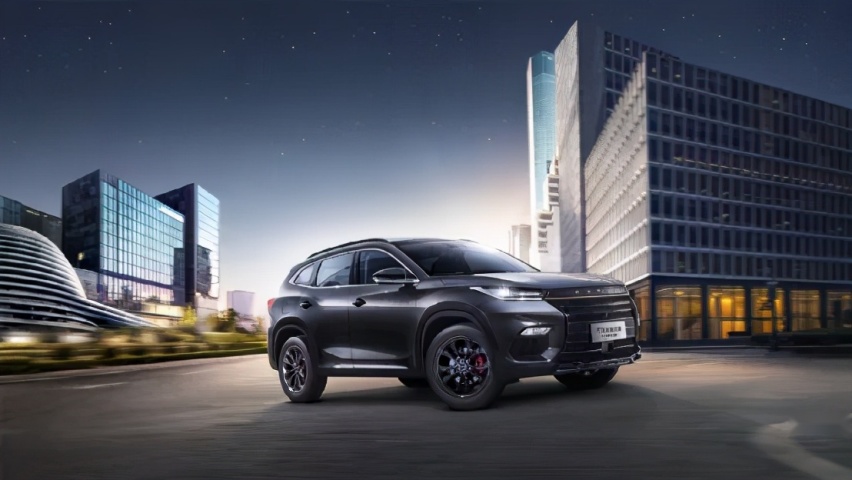双车齐发 星途LX“凡尔赛版”