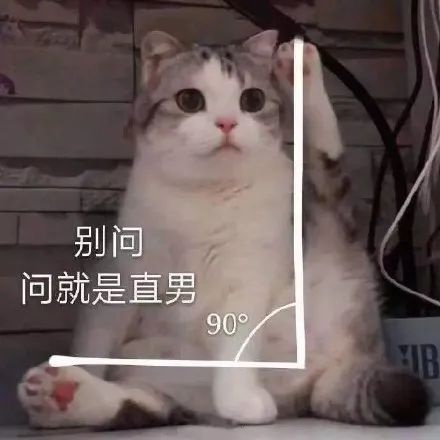 海豚：比亚迪的「潮牌」路线清晰了