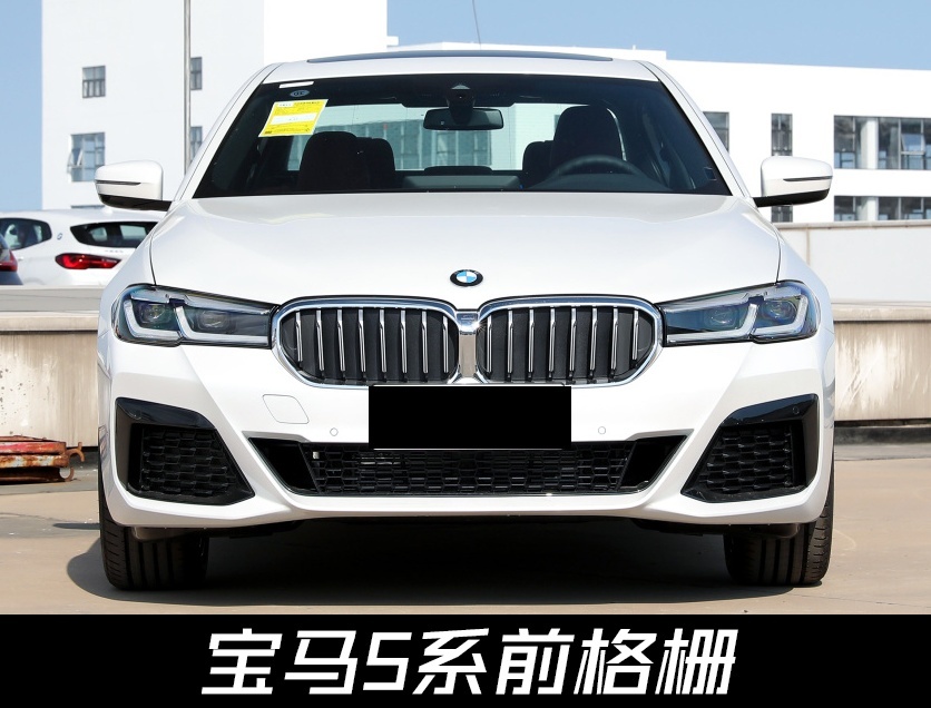 像连体宝马双肾？斯柯达ENYAQ iV vRS官图发布，新车或明年上市
