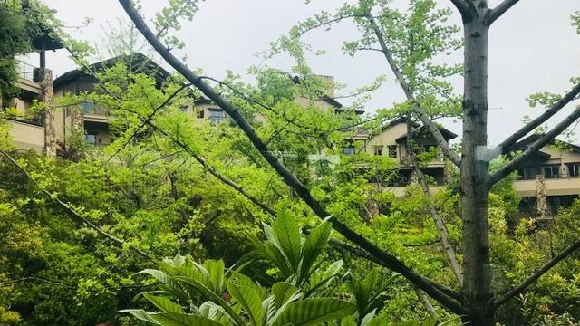 微旅行｜发现江浙沪让你慢下性子的周末游