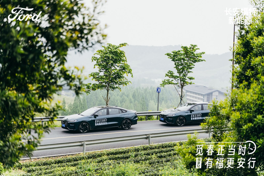 觅春正当时 有福更安行 | 蒙迪欧莫干山探春之旅