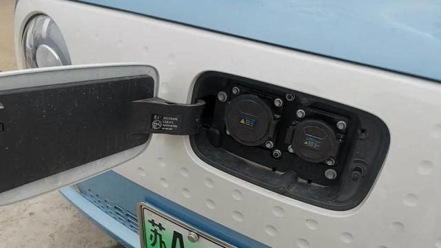 新能源车一年体验,自主品牌表现如何?欧拉车主讲了句实话