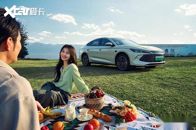 限时补贴价8.98万起！工业奇迹2026款秦L DM-i开回家