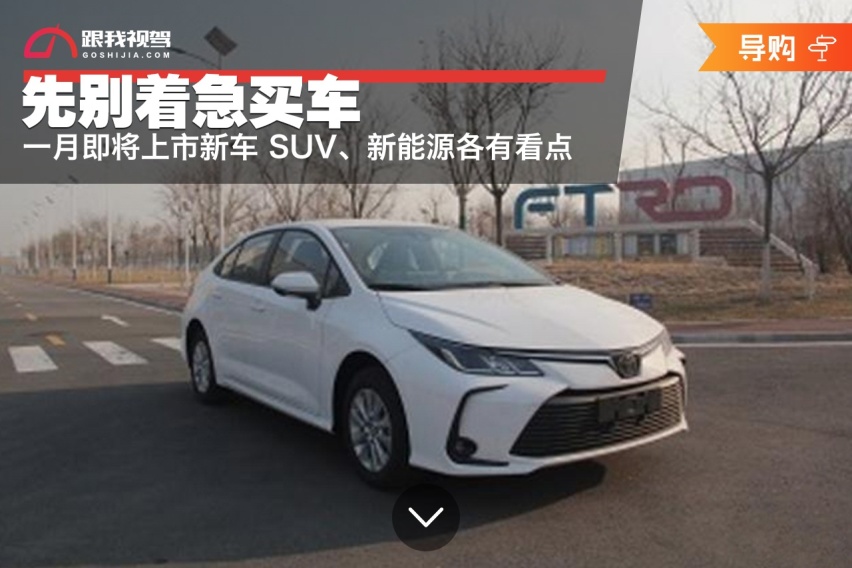 先别着急买车 一月即将上市新车 SUV、新能源各有看点