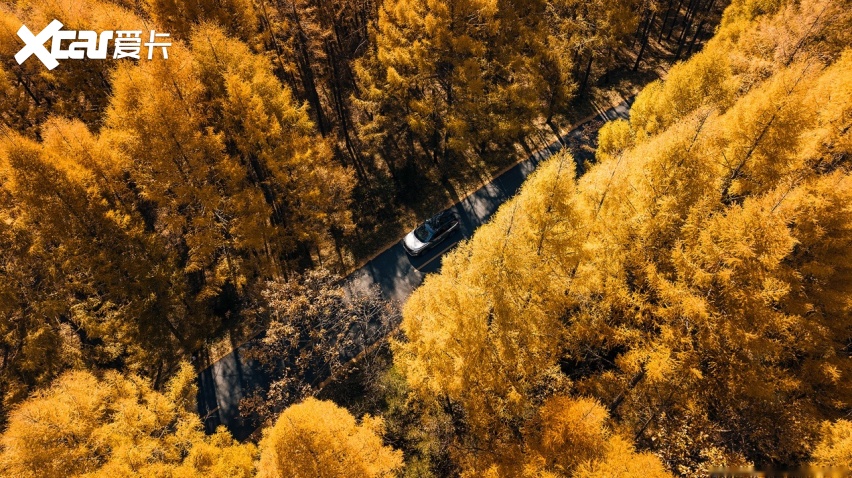 超混电驱奇骏一箱油续航极限1400km+