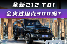 全新212 T01会火过坦克300吗？