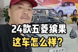 24款五菱缤果，这车怎么样？