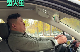 萤火虫到底小不小？胖哥用自身体型实测告诉你答案