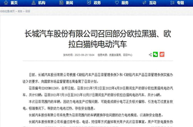欧拉召回67辆停产电动车 网友：就这多点？别的早就烧没了