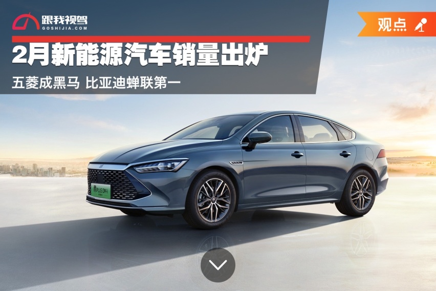 2月新能源汽车销量出炉 五菱成黑马 比亚迪蝉联第一