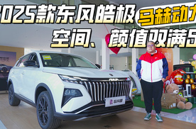 新年开新车，15万级纯享SUV，东风皓极了解下！