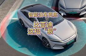 为智能泊车兜底！迪子率先实现媲美L4级智能泊车！