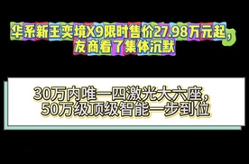 限时售价27.98万元起的华系新王奕境X9，如何让友商看了集体沉默？