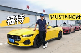 困兽犹斗 场地小试全新MUSTANG野马