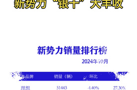 “涨”声一片 新势力“银十”大丰收