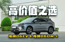 配置狂魔，中型SUV的高价值选择，海狮06双车上市