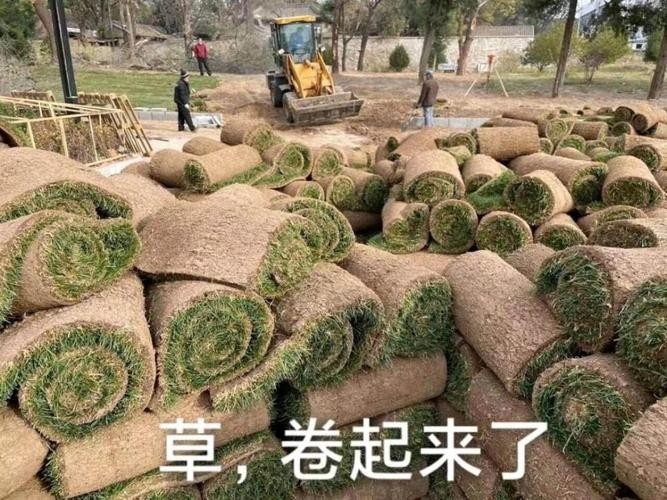 雪碧告别了60年的绿瓶，Ta告别了6年前的自己