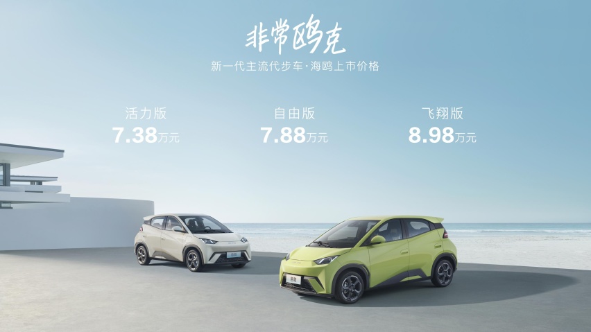 标配4气囊+快充，起价仅7.38万，比亚迪海鸥要火过海豚？