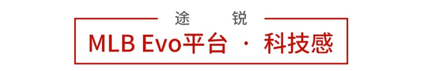 20万预算，买一台宝马，还是买一台7座车+一台6秒破百的家轿
