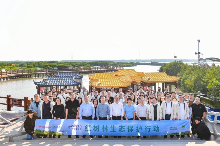 守护蔚蓝天 共创新生态 红树林生态体验营圆满结营